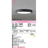 オーデリック　OL251736R　シーリングライト 非調光 LED一体型 昼白色 人感センサー付 ブラック