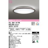 オーデリック　OL291317R　シーリングライト 12畳 調光 調色 リモコン付属 LED一体型 電球色〜昼光色 エボニーブラウン [♭]