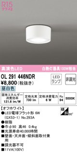 オーデリック　OL291446NDR(ランプ別梱)　シーリングライト 非調光 LEDランプ 昼白色 オフホワイト