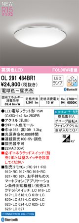 オーデリック OL291484BR1(ランプ別梱) シーリングライト 調光調色 Bluetooth リモコン別売 LED 電球色〜昼光色 高演色LED R15