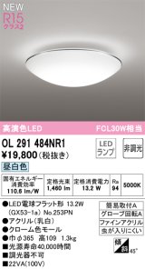 オーデリック OL291484NR1(ランプ別梱) シーリングライト 非調光 LED 昼白色 高演色LED R15