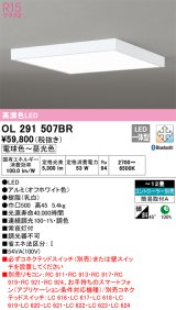 オーデリック　OL291507BR　シーリングライト 12畳 調光 調色 Bluetooth コントローラー別売 LED一体型 電球色〜昼光色 オフホワイト