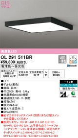 オーデリック　OL291511BR　シーリングライト 12畳 調光 調色 Bluetooth コントローラー別売 LED一体型 電球色〜昼光色 ブラック