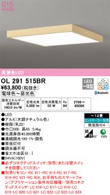 オーデリック　OL291515BR　シーリングライト 12畳 調光 調色 Bluetooth コントローラー別売 LED一体型 電球色〜昼光色 木調ナチュラル