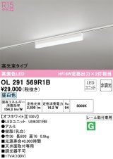 オーデリック　OL291569R1B(LED光源ユニット別梱)　ベースライト 非調光 LEDユニット交換型 昼白色 レール取付型 オフホワイト