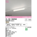 オーデリック　OL291569R2E(LED光源ユニット別梱)　ベースライト 非調光 LEDユニット交換型 電球色 レール取付型 オフホワイト