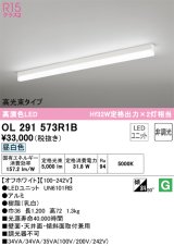 オーデリック　OL291573R1B(LED光源ユニット別梱)　ベースライト 非調光 LEDユニット交換型 昼白色 直付型 オフホワイト