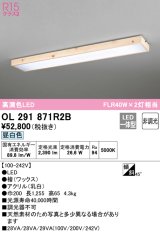 オーデリック　OL291871R2B　ベースライト 非調光和風 LED一体型 昼白色 檜