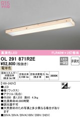 オーデリック　OL291871R2E　ベースライト 非調光和風 LED一体型 電球色 檜