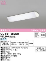 【数量限定特価】オーデリック　OL551289NR　キッチンライト 非調光 LEDランプ 直管形LED 昼白色 オフホワイト ￡