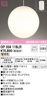 オーデリック　OP034119LR(ランプ別梱)　ペンダントライト 非調光 LEDランプ 電球色 フレンジタイプ