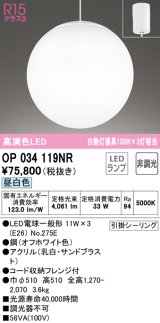 オーデリック　OP034119NR(ランプ別梱)　ペンダントライト 非調光 LEDランプ 昼白色 フレンジタイプ