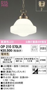 オーデリック　OP210570LR　ペンダントライト 非調光 LEDランプ 電球色 フレンジタイプ