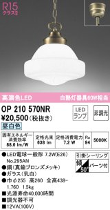 オーデリック　OP210570NR(ランプ別梱)　ペンダントライト 非調光 LEDランプ 昼白色 フレンジタイプ