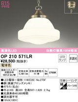 オーデリック　OP210571LR(ランプ別梱)　ペンダントライト 非調光 LEDランプ 電球色 フレンジタイプ