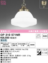 オーデリック　OP210571NR(ランプ別梱)　ペンダントライト 非調光 LEDランプ 昼白色 フレンジタイプ