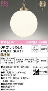 オーデリック　OP210615LR(ランプ別梱)　ペンダントライト 非調光 LEDランプ 電球色 フレンジタイプ