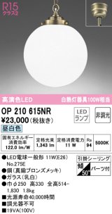 オーデリック　OP210615NR(ランプ別梱)　ペンダントライト 非調光 LEDランプ 昼白色 フレンジタイプ