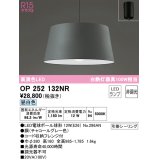 オーデリック　OP252132NR(ランプ別梱)　ペンダントライト 非調光 LEDランプ 昼白色 フレンジタイプ チャコールグレー