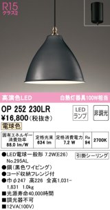 オーデリック　OP252230LR　ペンダントライト 非調光 LEDランプ 電球色 フレンジタイプ ブラック