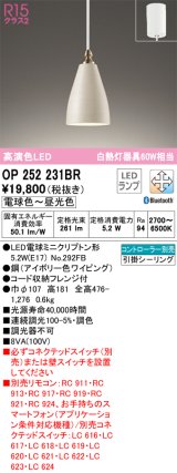 オーデリック　OP252231BR　ペンダントライト 調光 調色 Bluetooth コントローラー別売 LEDランプ 電球色〜昼光色 フレンジタイプ アイボリー