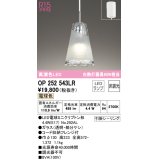 オーデリック　OP252543LR(ランプ別梱)　ペンダントライト 非調光 LEDランプ 電球色 フレンジタイプ