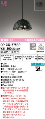 オーデリック　OP252675BR　ペンダントライト 調光 調色 Bluetooth コントローラー別売 LED一体型 電球色〜昼光色 フレンジタイプ ブラック