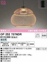 オーデリック　OP252737NDR(ランプ別梱)　ペンダントライト 非調光 和風 LEDランプ 昼白色 フレンジタイプ 竹