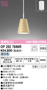 オーデリック　OP252784NR(ランプ別梱)　ペンダントライト 非調光 LEDランプ 昼白色 フレンジタイプ クリア