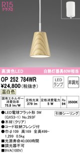 オーデリック　OP252784WR(ランプ別梱)　ペンダントライト 非調光 LEDランプ 温白色 フレンジタイプ クリア