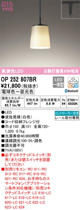 オーデリック　OP252807BR　ペンダントライト 調光 調色 Bluetooth コントローラー別売 和風 LED一体型 電球色〜昼光色 プラグタイプ 波佐見焼