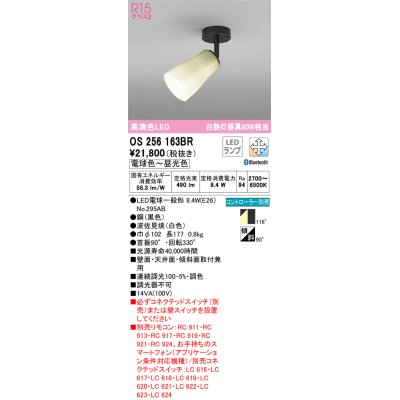 画像1: オーデリック　OS256163BR(ランプ別梱)　スポットライト 調光 調色 Bluetooth コントローラー別売 和風 LEDランプ 電球色〜昼光色 フレンジタイプ 波佐見焼