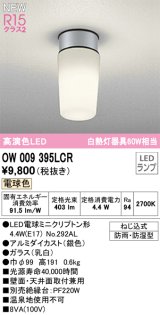 オーデリック OW009395LCR(ランプ別梱) エクステリア ポーチライト LED 電球色 高演色LED R15 防雨・防湿型 シルバー