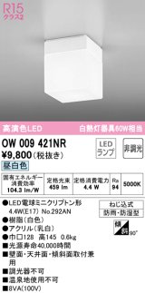 オーデリック　OW009421NR(ランプ別梱)　バスルームライト 非調光 LEDランプ 昼白色 防雨・防湿型 ホワイト