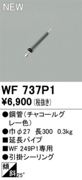 オーデリック WF737P1 シーリングファン 部材 延長パイプ 長300 チャコールグレー