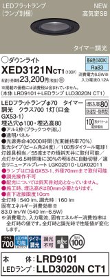 パナソニック XED3121NCT1(ランプ別梱) ダウンライト 埋込穴φ100 LED(昼白色) 天井埋込型 軒下用 高気密SB形 集光24度 LEDランプ交換型 防雨・防湿型 ブラック