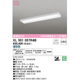 オーデリック　XL501057R4B(LED光源ユニット別梱)　ベースライト 非調光 LEDユニット交換型 昼白色 直付型