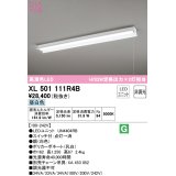 オーデリック　XL501111R4B(LED光源ユニット別梱)　ベースライト 非調光 LEDユニット交換型 昼白色 直付型 プルスイッチ付