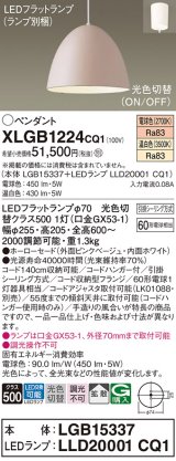 パナソニック　XLGB1224CQ1(ランプ別梱)　ペンダントライト 吊下型 LED(温白色・電球色) ホーローセード・拡散・引掛シーリング方式 光色切替(ON/OFF) ピンクBG