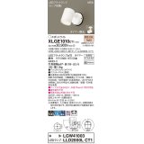 パナソニック XLGE1010CT1(ランプ別梱) スポットライト LED(電球色) 天井・壁直付型 屋外用 拡散 LEDランプ交換型 パネル付型 防雨型 ホワイト