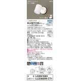 パナソニック XLGE1132CT1(ランプ別梱) スポットライト LED(昼白色) 天井・壁直付型 屋外用 集光24度 LEDランプ交換型 パネル付型 防雨型 ホワイト