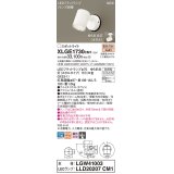 パナソニック XLGE1730CM1(ランプ別梱) スポットライト LED(電球色) 天井・壁直付型 屋外用 集光24度 LEDランプ交換型 パネル付型 防雨型 ホワイト