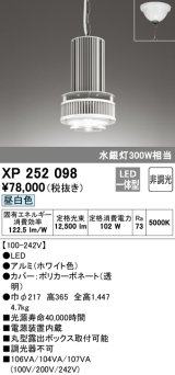 オーデリック　XP252098　ペンダントライト 非調光 LED一体型 昼白色 フレンジタイプ 電源装置内蔵 ホワイト