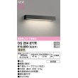 画像1: オーデリック　OG254877R　エクステリア 表札灯 LED一体型 電球色 下面配光 防雨型 ブラック (1)