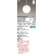 画像1: オーデリック　OP252595RG　ペンダントライト フルカラー 調光 調色 Bluetooth コントローラー別売 LEDランプ 電球色〜昼光色・フルカラー フレンジタイプ (1)