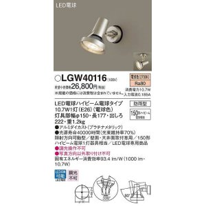 パナソニック LGW40114 エクステリア スポットライト ランプ同梱 LED