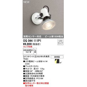 オーデリック OG044112P1 エクステリア スポットライト ランプ別売 LED