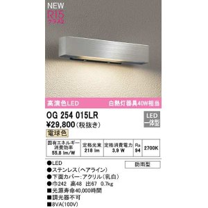 画像: オーデリック　OG254015LR　エクステリア 表札灯 LED一体型 電球色 防雨型