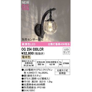 オーデリック OG254240LCR(ランプ別梱) エクステリア ポーチライト LED