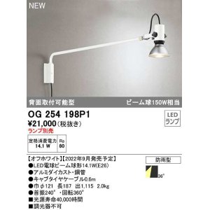 画像: オーデリック　OG254198P1　エクステリア スポットライト ランプ別売 LEDランプ 防雨型 オフホワイト